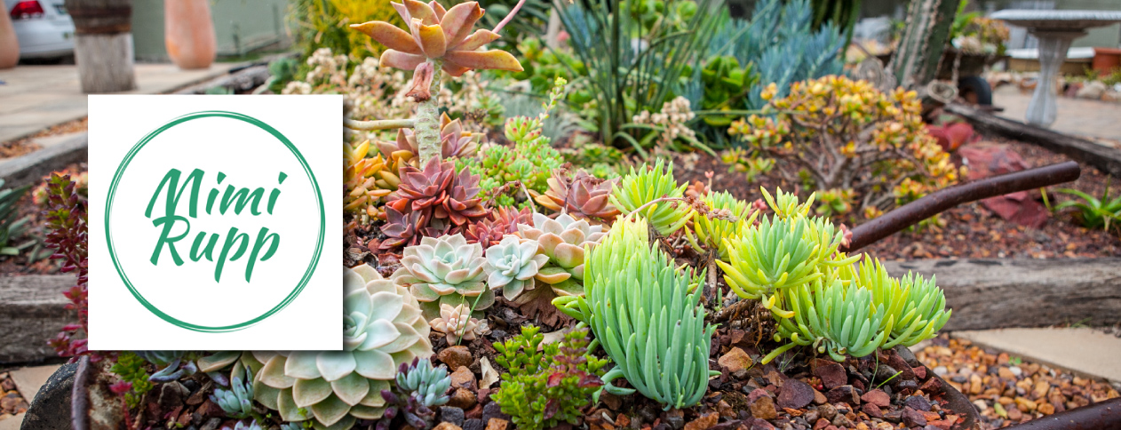 mimi-rupp-mentorship